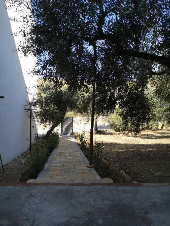 Apartamento El Carmen Setenil De Las Bodegas Exterior photo